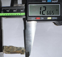 Load image into Gallery viewer, Framed Tyrannosaurus Rex Fossil Tooth Fragment 1.25 Inches