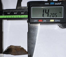 Load image into Gallery viewer, Framed Tyrannosaurus Rex Fossil Tooth Fragment 1.42 Inches