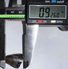 Load image into Gallery viewer, Tyrannosaurus Rex Fossil Tooth Tip .92 Inches