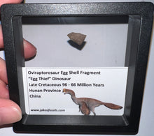 Load image into Gallery viewer, Framed Oviraptor type Dinosaur Eggshell Lot One Per Order .5 Inches