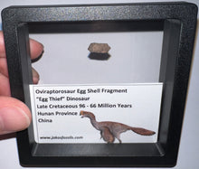 Load image into Gallery viewer, Framed Oviraptor type Dinosaur Eggshell Lot One Per Order .5 Inches
