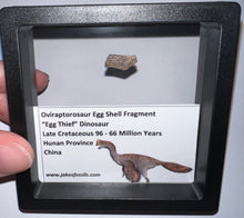 Load image into Gallery viewer, Framed Oviraptor type Dinosaur Eggshell Lot One Per Order .5 Inches