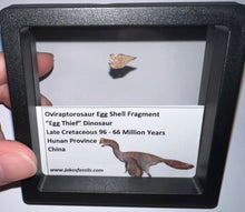 Load image into Gallery viewer, Framed Oviraptor type Dinosaur Eggshell Lot One Per Order .5 Inches