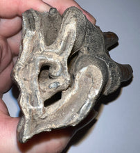 Load image into Gallery viewer, ENORMOUS Ice Age Fossil Woolly Rhinoceros Molar Coelodonta Antiquitatis 4.46 Inches