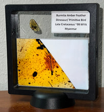 Load image into Gallery viewer, GEM Dinosaur age Burmite Fossil AMBER with SUPER RARE FEATHER! TESTED FOR AUTHENTICITY!!
