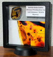 Load image into Gallery viewer, Dinosaur age Burmite Fossil AMBER with SUPER RARE FEATHER and TICK! TESTED FOR AUTHENTICITY!!
