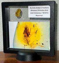 Load image into Gallery viewer, GEM Dinosaur age Burmite Fossil AMBER with SUPER RARE 2 FEATHERS! TESTED FOR AUTHENTICITY!!