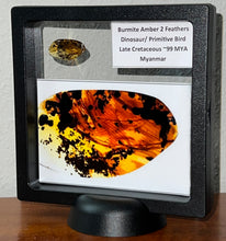 Load image into Gallery viewer, Dinosaur age Burmite Fossil AMBER with SUPER RARE 2 HUGE 14 MM FEATHERS! TESTED FOR AUTHENTICITY!!