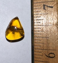 Load image into Gallery viewer, GEM Dinosaur age Burmite Fossil AMBER with a Rare Huge SCORPION! TESTED FOR AUTHENTICITY!!