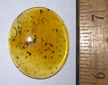 Load image into Gallery viewer, GEM Dinosaur age Burmite Fossil AMBER with a Rare SCORPION! TESTED FOR AUTHENTICITY!!