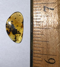 Load image into Gallery viewer, GEM Dinosaur age Burmite Fossil AMBER with SUPER RARE FEATHER! TESTED FOR AUTHENTICITY!!