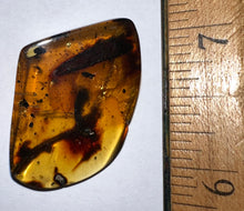 Load image into Gallery viewer, Dinosaur age Burmite Fossil AMBER with SUPER RARE FEATHER and TICK! TESTED FOR AUTHENTICITY!!