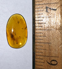 Load image into Gallery viewer, GEM Dinosaur age Burmite Fossil AMBER with SUPER RARE 2 FEATHERS! TESTED FOR AUTHENTICITY!!
