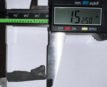 Load image into Gallery viewer, Rare Edestus Fossil Scissor Shark Tooth 1.52 Inches Pre Dinosaur Shark Tooth!