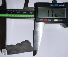 Load image into Gallery viewer, Rare Edestus Fossil Scissor Shark Tooth 1.73 Inches Pre Dinosaur Shark Tooth!