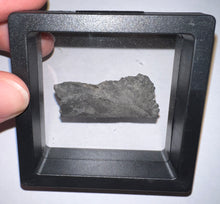 Load image into Gallery viewer, Rare Edestus Fossil Scissor Shark Tooth 1.73 Inches Pre Dinosaur Shark Tooth!