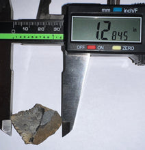 Load image into Gallery viewer, Rare Edestus Fossil Scissor Shark Tooth 1.28 Inches Pre Dinosaur Shark Tooth!