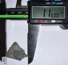 Load image into Gallery viewer, Rare Edestus Fossil Scissor Shark Tooth 1.16 Inches Pre Dinosaur Shark Tooth!