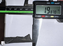 Load image into Gallery viewer, Rare Edestus Fossil Scissor Shark Tooth 1.98 Inches Pre Dinosaur Shark Tooth!