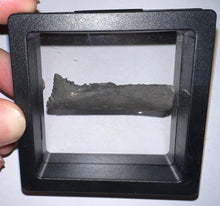 Load image into Gallery viewer, Rare Edestus Fossil Scissor Shark Tooth 1.98 Inches Pre Dinosaur Shark Tooth!