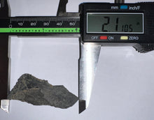 Load image into Gallery viewer, Rare Edestus Fossil Scissor Shark Tooth 2.11 Inches Pre Dinosaur Shark Tooth!