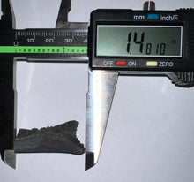 Load image into Gallery viewer, Rare Edestus Fossil Scissor Shark Tooth 1.48 Inches Pre Dinosaur Shark Tooth!