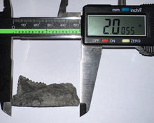 Load image into Gallery viewer, Edestus Fossil Scissor Shark Tooth 2 Inches Pre Dinosaur Shark Tooth!