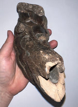 Load image into Gallery viewer, GEM American Mastodon Fossil Molar 6.5 Inches