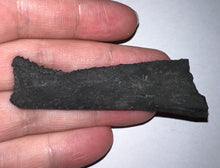 Load image into Gallery viewer, Edestus Fossil Scissor Shark Tooth 2.76 Inches Pre Dinosaur Shark Tooth!
