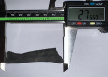 Load image into Gallery viewer, Edestus Fossil Scissor Shark Tooth 2.76 Inches Pre Dinosaur Shark Tooth!