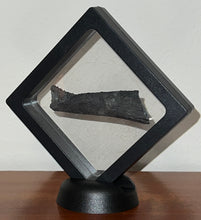 Load image into Gallery viewer, Edestus Fossil Scissor Shark Tooth 2.76 Inches Pre Dinosaur Shark Tooth!