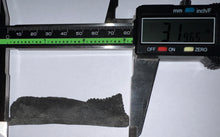 Load image into Gallery viewer, GEM Edestus Fossil Scissor Shark Tooth 3.19 Inches Pre Dinosaur Shark Tooth!