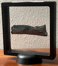 Load image into Gallery viewer, GEM Edestus Fossil Scissor Shark Tooth 3.19 Inches Pre Dinosaur Shark Tooth!