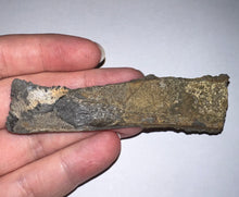 Load image into Gallery viewer, Edestus Fossil Scissor Shark Tooth 3.55 Inches Pre Dinosaur Shark Tooth!