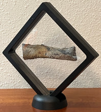 Load image into Gallery viewer, Edestus Fossil Scissor Shark Tooth 3.55 Inches Pre Dinosaur Shark Tooth!