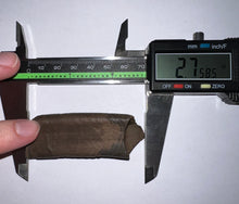 Load image into Gallery viewer, GEM Rare Large Ice Age Fossil Ground Sloth Paramylodon Tooth 2.75 Inches