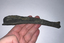 Load image into Gallery viewer, Edestus Fossil Scissor Shark Tooth 6.6 Inches Pre Dinosaur Shark Tooth!