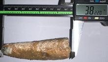 Load image into Gallery viewer, HUGE Spinosaur Fossil Dinosaur Tooth 3.82 Inches with Display Stand and Case