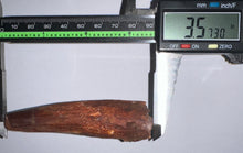 Load image into Gallery viewer, GEM HUGE Spinosaur Fossil Dinosaur Tooth 3.57 Inches with Display Stand and Case NO REPAIR