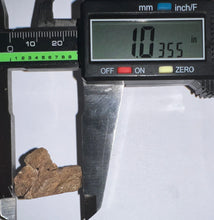 Load image into Gallery viewer, HUGE Triceratops type Ceratopsian Tooth 1.03 Inches