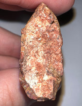 Load image into Gallery viewer, Monster Carcharodontosaur Fossil Tooth 3.09 Inches No Repair Fantastic Serrations
