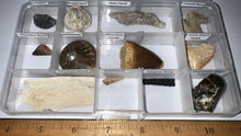 Load image into Gallery viewer, Beginner Collection of 12 labeled Fossils in a clear case. Includes Mosasaur Tooth, Dinosaur Bone Fragment, Mastodon Molar Fragment and more!