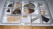 Load image into Gallery viewer, Beginner Collection of 12 labeled Fossils in a clear case. Includes Mosasaur Tooth, Dinosaur Bone Fragment, Mastodon Molar Fragment and more!