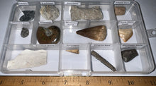 Load image into Gallery viewer, Beginner Collection of 12 labeled Fossils in a clear case. Includes Mosasaur Tooth, Dinosaur Bone Fragment, Mastodon Molar Fragment and more!