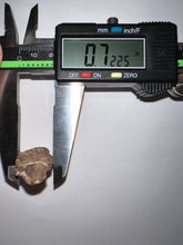 Load image into Gallery viewer, Tyrannosaurus Rex Fossil Partial Tooth 1.48 Inches