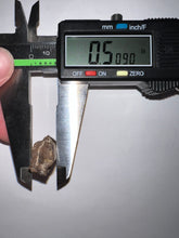 Load image into Gallery viewer, Tyrannosaurus Rex Fossil Partial Tooth 1.48 Inches