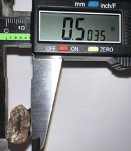 Load image into Gallery viewer, Tyrannosaurus Rex Fossil Tooth 1.755 Inches Hell Creek Formation South Dakota