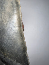 Load image into Gallery viewer, Monster Size Megalodon Fossil Shark Tooth 6.12 Inches Fantastic Serrations! Not Repaired!