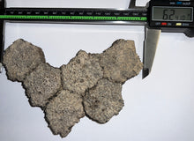 Load image into Gallery viewer, Glyptodont Rare 6 Connected Scutes 6.24 Inches