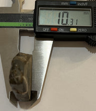 Load image into Gallery viewer, Ammolite Ammonite Gem Stone from Alberta 1.5 Inches